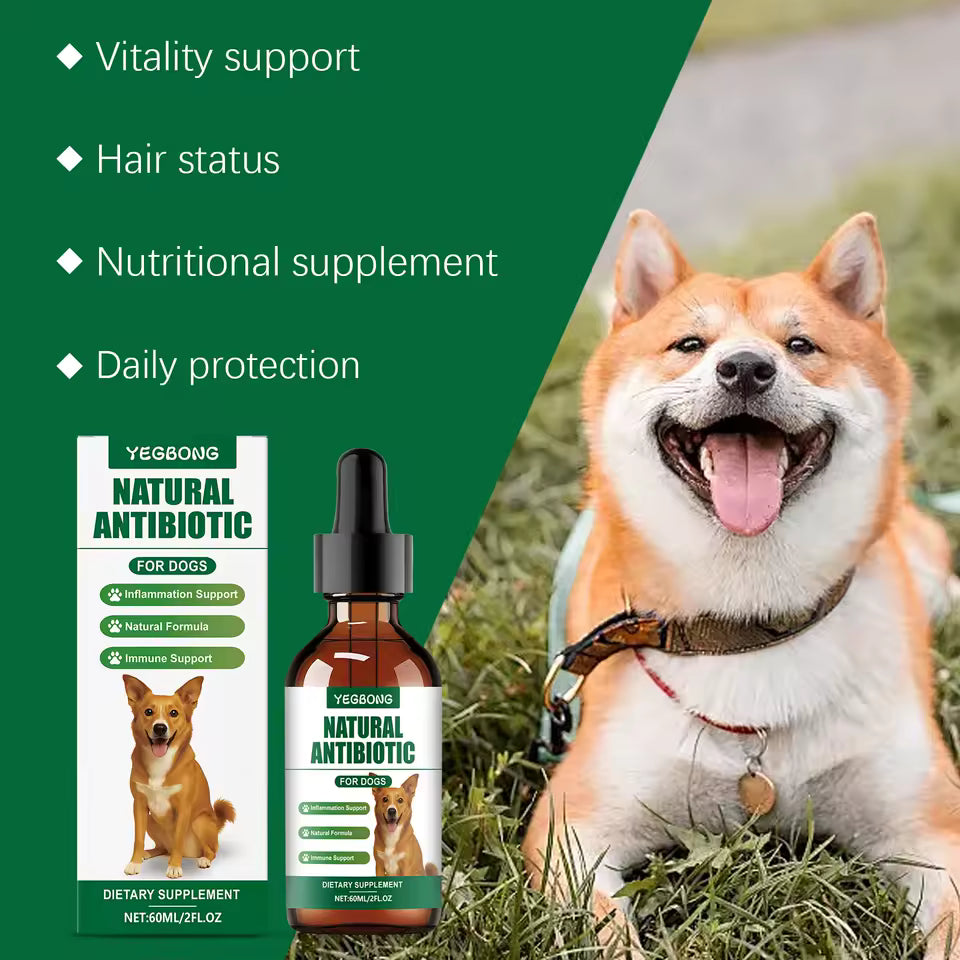Supplément Multivitaminique Immunité pour Chiens – 60ml, Formule Douce pour Peau et Bien-être Quotidien