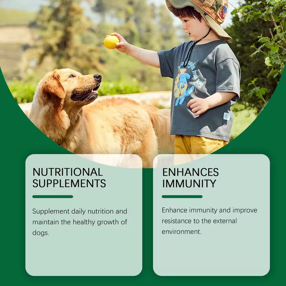 Supplément Multivitaminique Immunité pour Chiens – 60ml, Formule Douce pour Peau et Bien-être Quotidien